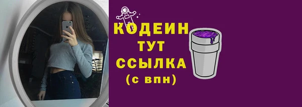 прущие грибы Богородицк